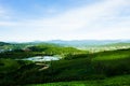 The morning at Cau Dat tea farm at Da lat, Vietnam Royalty Free Stock Photo