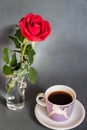 Morning, coffe, rose and love!