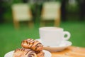 Morning coffee. Cup coffee in park Royalty Free Stock Photo