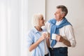 Morning coffee. Senior couple drinking tea near window