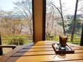 Morning coffee on the terrace in cafe. Cup of ice americano on the table in sun light with cherry blossom field, Breakfast outside Royalty Free Stock Photo