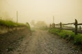 Morning in the countryside. Meadow and trees in the fog