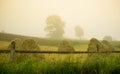 Morning in the countryside. Meadow and trees in the fog