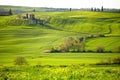 Morning on countryside, San Quirico dÃÂ´Orcia, Tuscany, Italy