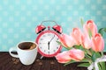 Morning cup of coffee and allarm Vector realistic. Tulip flowers bouquet and retro background. Spring summer season card Royalty Free Stock Photo