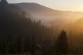 At morning dawn mist over forest in mountains