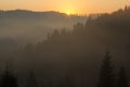 At morning dawn mist over forest in mountains