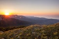 Morning Dawn Sunlight of Bright Golden Sunrise with Yellow Flowers Green Hills and Colorful Sky Royalty Free Stock Photo