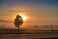 Morning dawning sun over hazy field and country road