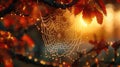 Morning dew adorning a spider's web, with each droplet reflecting the sunrise, highlighting the intricate beauty of