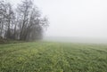 Morning dew and in the fall on field and trees Royalty Free Stock Photo