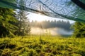 morning dew on a tent at a forest campsite