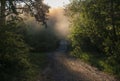 morning dirt road through the summer forest covered in the fog and sun rays, beautiful summer landscape Royalty Free Stock Photo