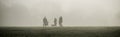 Morning dog walkers silhouetted in mist.