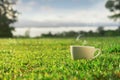 Morning espresso coffee in lawn Royalty Free Stock Photo