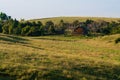 Morning in the Farm Yard Royalty Free Stock Photo