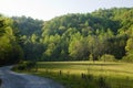 Morning fence path field Royalty Free Stock Photo