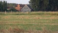 Morning, a field of grass, trees and a village on the horizon. Pheasants will be harvested.