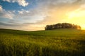 Morning in the fields of Udmurtia Royalty Free Stock Photo