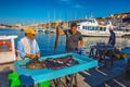 The morning fish market in Marseilles