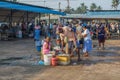 Morning on the fish market. Negombo Royalty Free Stock Photo
