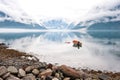 Morning by the fjords, clouds on the mountains with reflection on the water and small boat, Norway