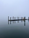 morning in florida. always summer. fog Royalty Free Stock Photo