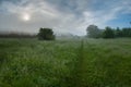 Morning fog above green meadow Royalty Free Stock Photo