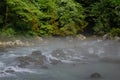 Morning fog above Mountain river in the middle of green forest Royalty Free Stock Photo