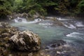 Morning fog above Mountain river in the middle of green forest Royalty Free Stock Photo