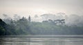 Morning fog on the African river Sangha. Royalty Free Stock Photo