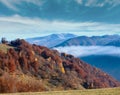 Morning fog in autumn Carpathian