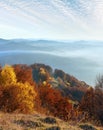 Morning fog in autumn Carpathian