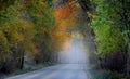 Morning fog on the away to Maroon bells Royalty Free Stock Photo