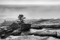 Fog rolling in on cadillac mountain black and white Royalty Free Stock Photo