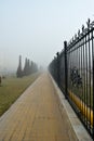 Morning fog on a city street