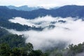 Morning fog in dense tropical rainforest, kaeng krachan, thailand Royalty Free Stock Photo