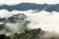 Morning fog in dense tropical rainforest, kaeng krachan, thailand Royalty Free Stock Photo