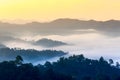 Morning fog in dense tropical rainforest, kaeng krachan, thailand Royalty Free Stock Photo