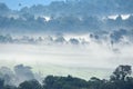 Morning fog in dense tropical rainforest at Khao Yai national park