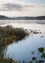 Morning fog on Fish Lake with mountain reflections Royalty Free Stock Photo