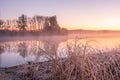 Morning fog in the forest lake. bare trees reflected in the river water at morning fog. autumn scenic view of lake in foggy haze Royalty Free Stock Photo