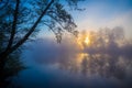 Morning fog on a forest river Royalty Free Stock Photo
