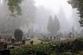 Morning fog in a graveyard