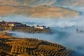 Morning fog on the hills with autumnal vineyards in Italy Royalty Free Stock Photo