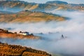 Morning fog on the hills with autumnal vineyards in Italy Royalty Free Stock Photo