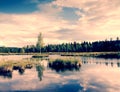 Morning fog on a lake in swamp. Fresh green birch in middle on small island. Royalty Free Stock Photo