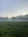 Morning fog on meadow with trees and hills with forest silhouettes Royalty Free Stock Photo