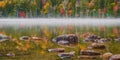 Morning mist on a pond in Autumn Royalty Free Stock Photo