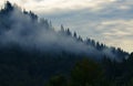 Morning fog in the mountains against the background of ancient snout forest Royalty Free Stock Photo